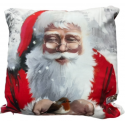 Santa Robin Cushion Cover