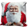 Santa Robin Cushion Cover