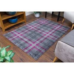 Glendale Grey Purple