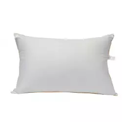 Luxury Comfort Egyptian Cotton Gold Trim Pillow