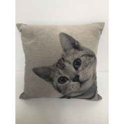 Peaking Cat Cushion Cover