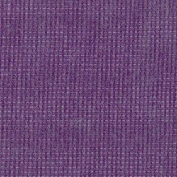 FR2000 Purple