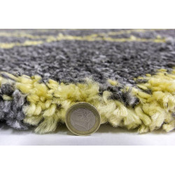 Fantasy Shaggy Trellis Dark Grey Yellow