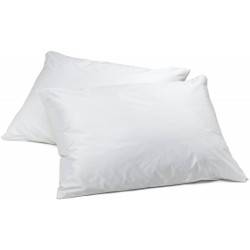 Waterproof Pillow Protector 2 Pack