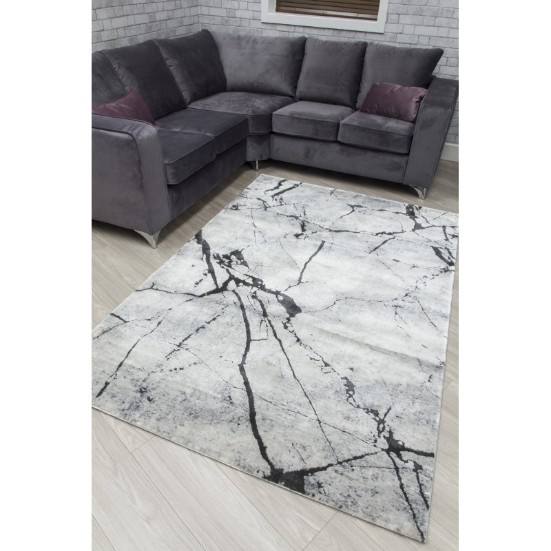Rococo Glacial Grey Abstract