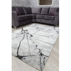 Rococo Glacial Grey Abstract