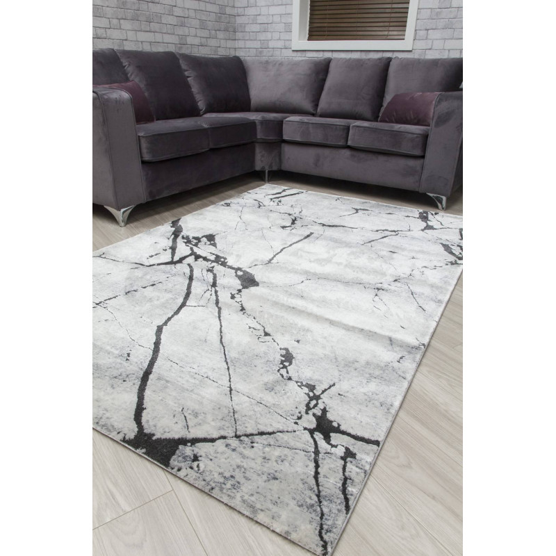 Rococo Glacial Grey Abstract