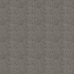 Bianca Graphite