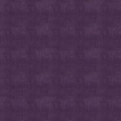Cassandra Aubergine