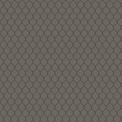 Celeste Graphite