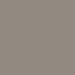 Parker Graphite