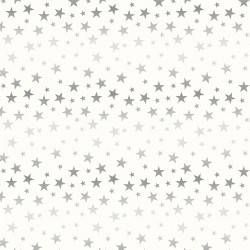 Twinkle Stars Silver
